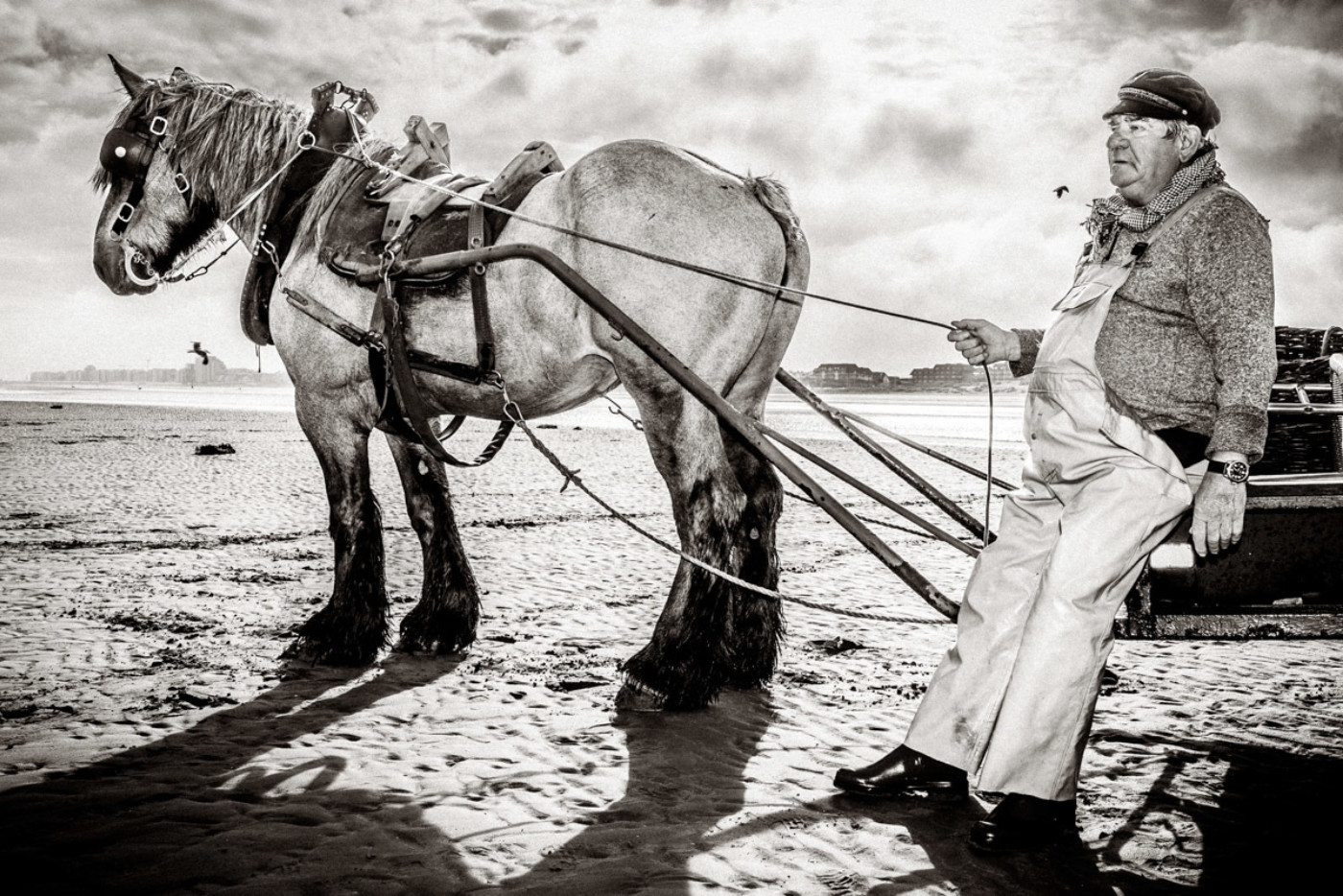 20180813 untitled 07500