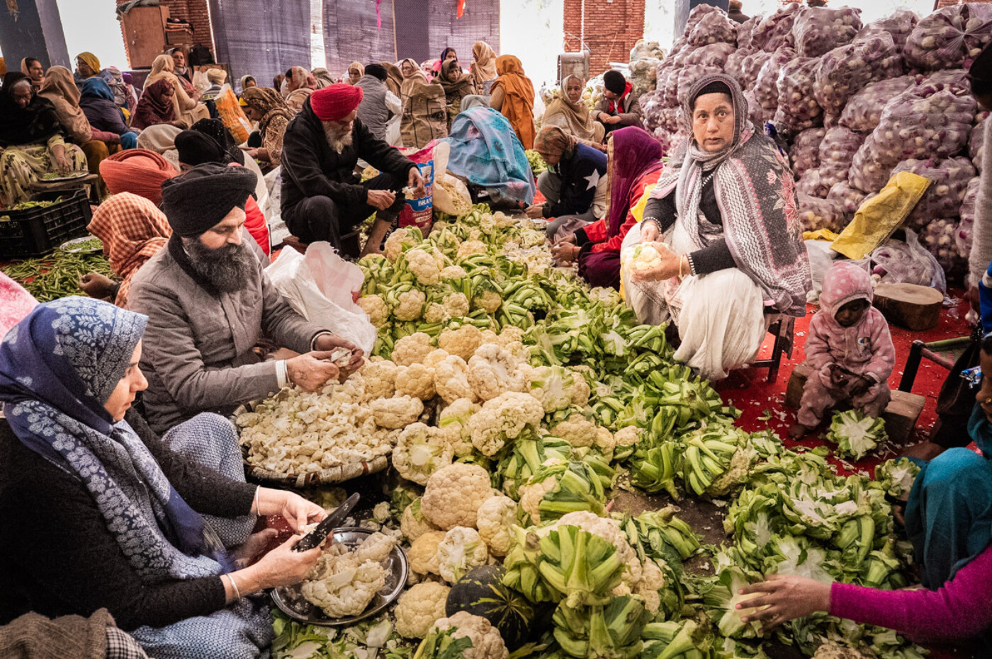 20250208 indie amritsar 03794